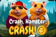 Crash Hamster Crash