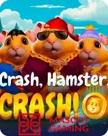 Crash Hamster