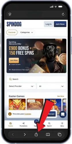Casino home page