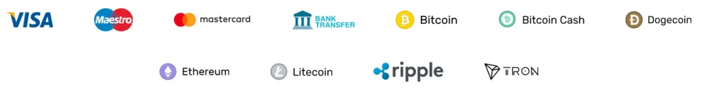 SpinDog supported payment methods including Visa, Mastercard, Bitcoin and other cryptocurrencies